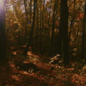 0 0 0 a a b b follow me autumn 3