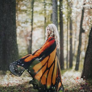 0 0 0 a a b b butterfly morn night