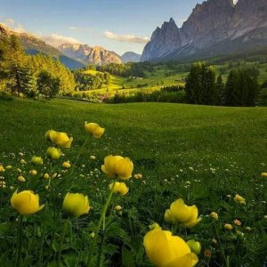0 0 0 0 a a b b follow me field