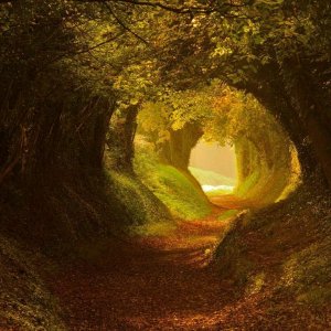 0 0 0 0 a a b b follow me autumn 5
