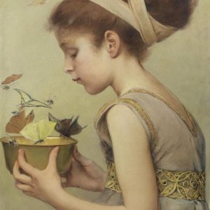 0 0 0 0 a a b b butterflies sara paxton ball dodson