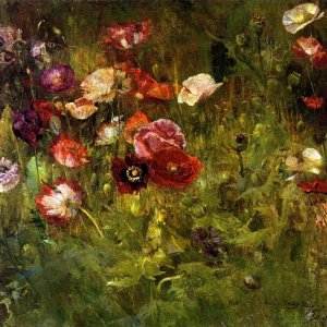 0 0 0 a a A bed of poppies maria oakey dewing