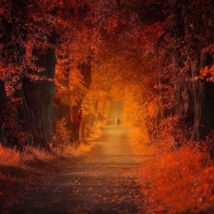 0 0 0 0 a a b b follow me autumn 4