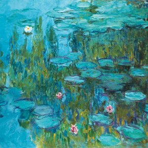 0 0 0 a a b b claude monet water lilies 1915