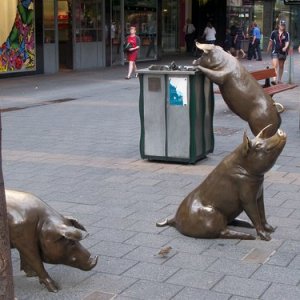 The Rundle Mall Pigs