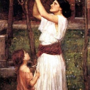 0 0 0 a a a b b gathering almond blossoms waterhouse 1916 oil c