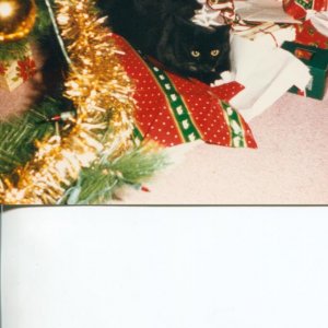 christmas harriet