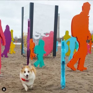 woodbine winter stations