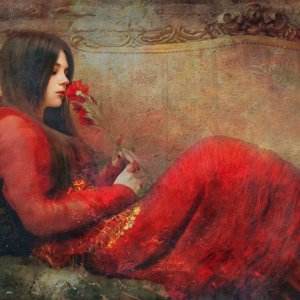 red good night