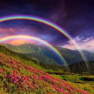 rainbow
