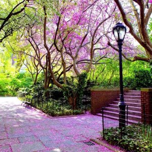 springbeautiful4