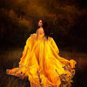 good night yellow field