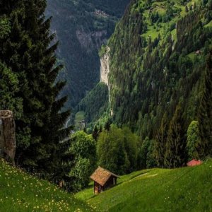 follow me alpine