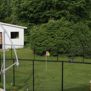 Dog run we put in for Lennie and Carl