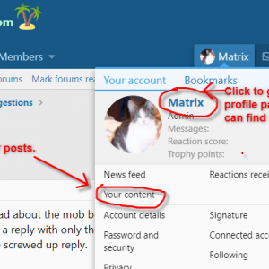 Find your posts
