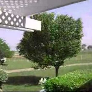 Windy Texas 4/15/2011