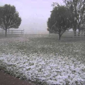 Hail Storm April 2016