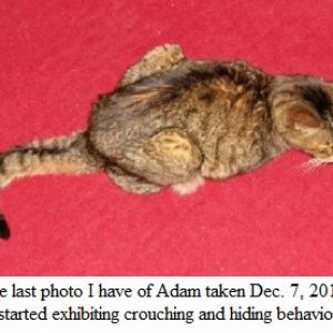 Adam Dec7.jpg
