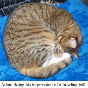 Adam sleeping.jpg