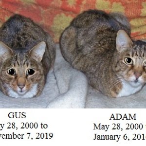Gus & Adam1b.jpg