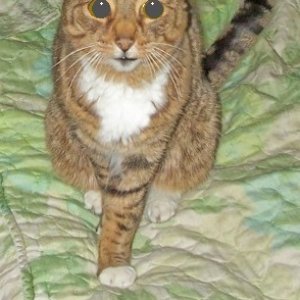 Gus 06-08-18.jpg