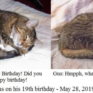 Gus 6-25-19.jpg