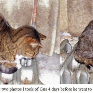 Gus nov 3 19a.jpg
