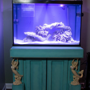 Mermaid Stand