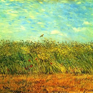 wheat field with a lark van gogh 1887.jpg
