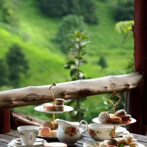breakfast tea.jpg