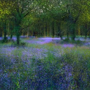 a cuckoo calls paul evans contemporary.jpg