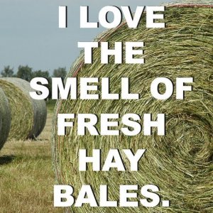 Love the Smell