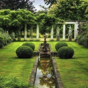 follow swell life garden.jpg
