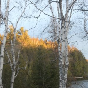Sunset1.JPG