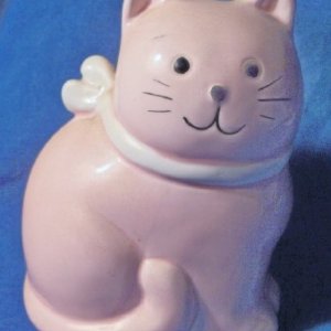 pink bank.jpg