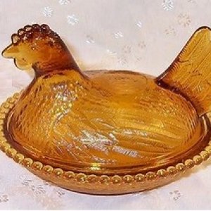 amber hen.jpg