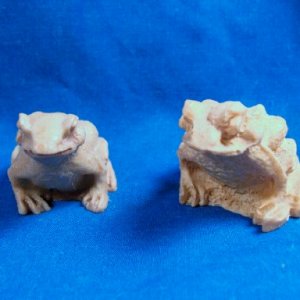 bone frogs.jpg
