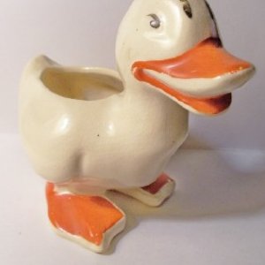 duck.jpg