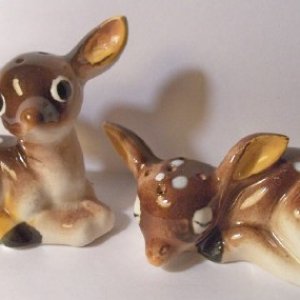 fawns1.jpg