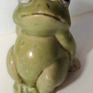 frog1.jpg