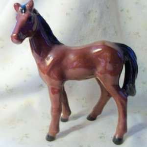horse1.jpg