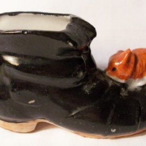 mouse on shoe1.jpg