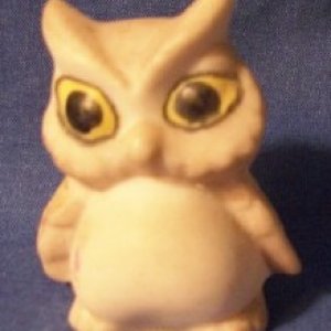 owl1.jpg