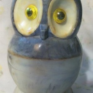 owl6.jpg