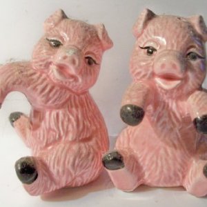 pigs.jpg