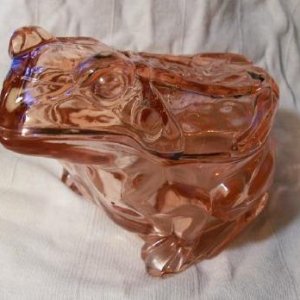 pink frog1.jpg