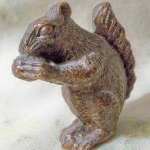squirrel4.jpg