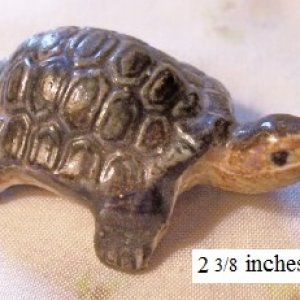 turtle2a.jpg