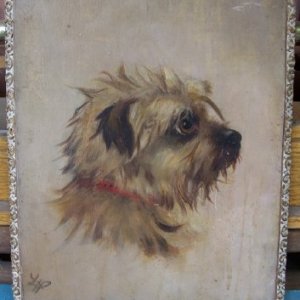 dog 1a.jpg