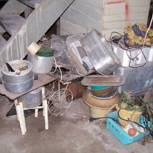 cellar6.jpg